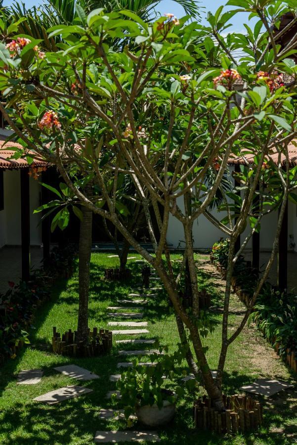 Villa Alexandre Pousada - Транкозу Экстерьер фото